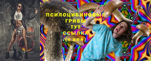 прущий лед Алексин