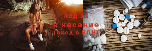 индика Абаза