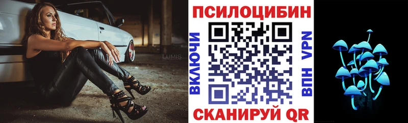 MEGA ТОР  Кемь  Псилоцибиновые грибы Psilocybine cubensis 